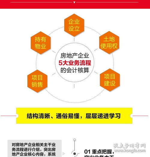 2020新版 房地產(chǎn)會(huì)計(jì)真賬實(shí)操全流程演練 第2版 建筑會(huì)計(jì)基礎(chǔ)操作實(shí)務(wù)實(shí)操大全 企業(yè)準(zhǔn)則公司房產(chǎn)會(huì)計(jì) 做賬財(cái)務(wù)賬務(wù)管理入門(mén)書(shū)籍