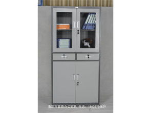 洛陽工廠專業(yè)鋼制財(cái)務(wù)柜、上移玻璃文件柜與鋼制器械柜的綜合指南
