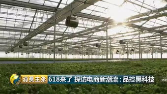 品控黑科技 央視《消費(fèi)主張》探訪京東植物工廠的財(cái)務(wù)智慧